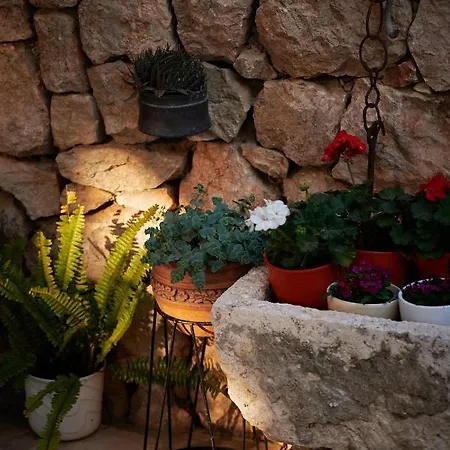 Micika Guest house 3*