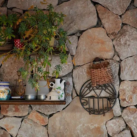 Micika Guest house